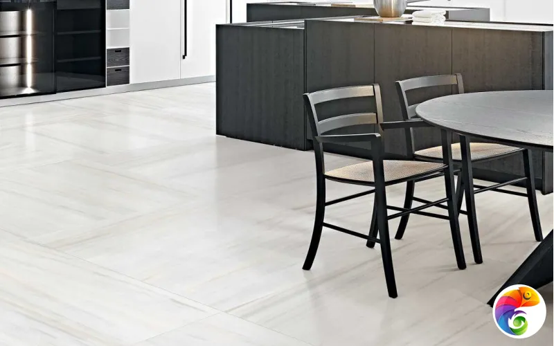 Коллекция LES ORIGINES DE REX Rex