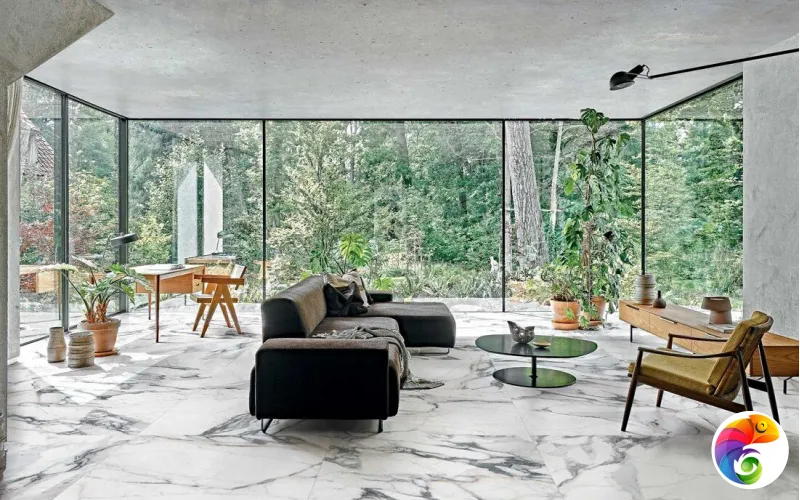 Коллекция LES ORIGINES DE REX Rex