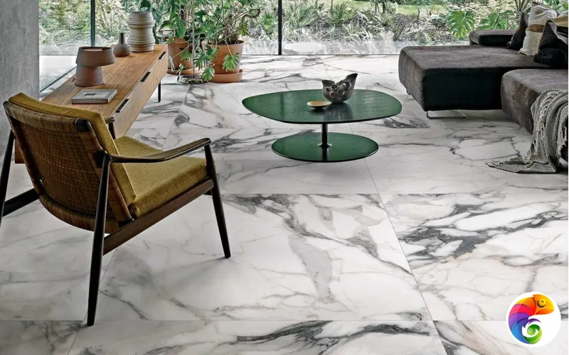 Коллекция LES ORIGINES DE REX Rex