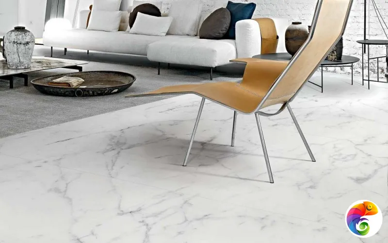 Коллекция LES ORIGINES DE REX Rex