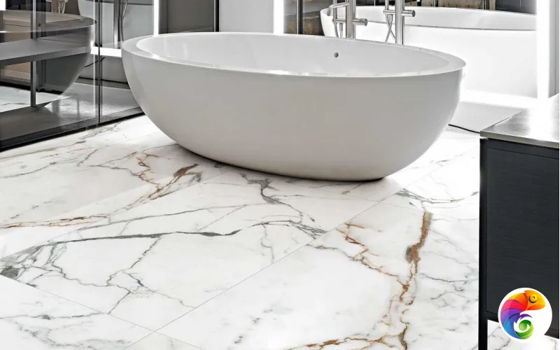 Коллекция LES ORIGINES DE REX Rex