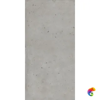 Avantgarde Silver 60х120 Ret (610010005694) 120x60