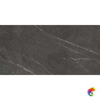 60X120 TIGER MATT BLACK RECT POR TILE (P14508.6) 120x60