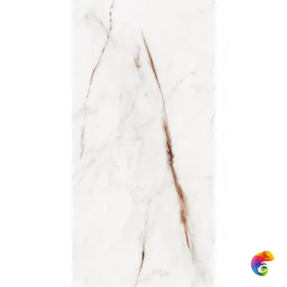 60X120 OSSO BEIGE PLSH REC.POR.TILE (P40045.6) 120x60