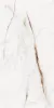 60X120 OSSO BEIGE PLSH REC.POR.TILE (P40045.6) 120x60