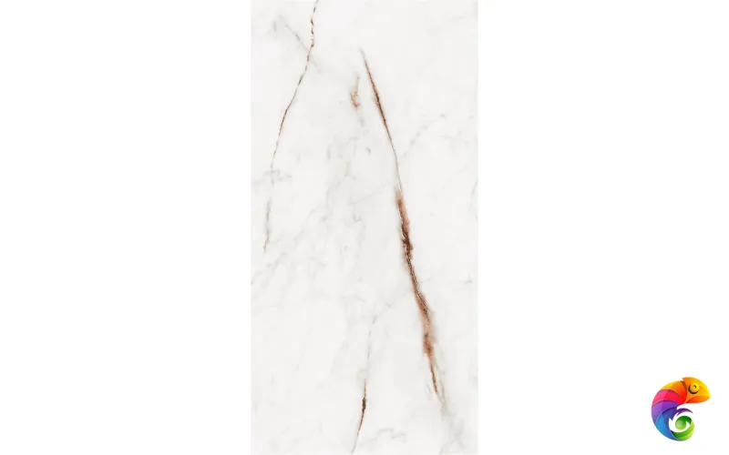 60X120 OSSO BEIGE PLSH REC.POR.TILE (P40045.6) 120x60 Глазурованный керамогранит