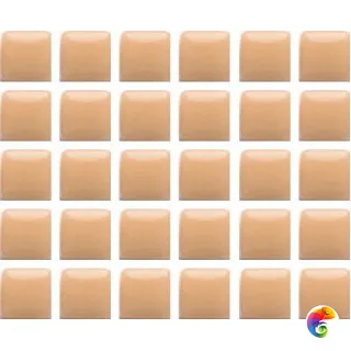 12.24C (12.24C) 32.2x32.2