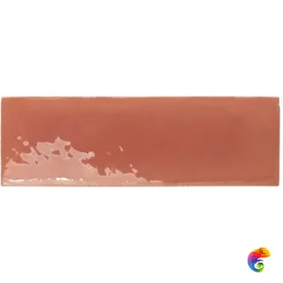 REBELS TERRACOTTA GLOSS (129062) 15x5