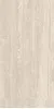CAMPIDOGLIO VEIN (17720023) 120x60