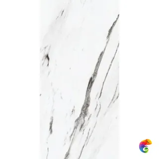 STATUARIO PLUS/60X120/EP (23462) 120x60