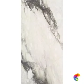 ETOILE RENOIR GLOSSY 6MM 120X280 RET (761727) 280x120