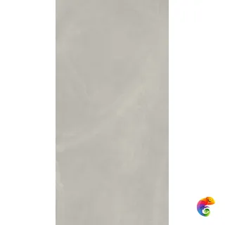 Continuum Silver Nat Ret 60x120/Континуум Сильвер Нат Рет 60х120 (610010002679) (610010002679) 120x60