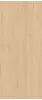 Log Bright Oak Line 120x278 - 6mm (AX29) 278x120