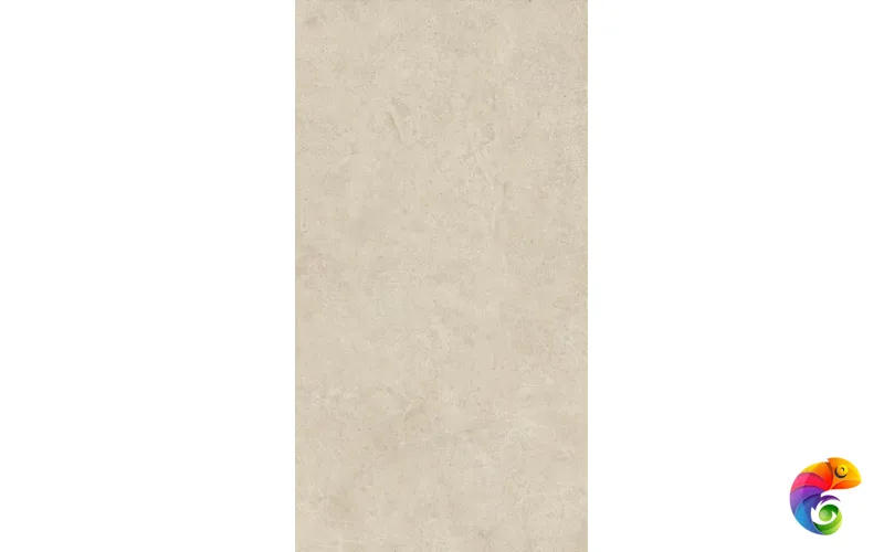 Boost Vision Camel 60x120 HCJT 120x60 Atlas Concorde Boost vision Неглазурованный керамогранит