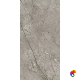 Marvel Meraviglia Silver Majestic 60x120 (AJIT) 120x60