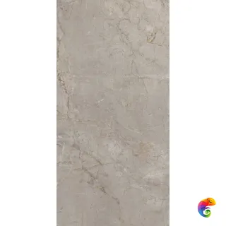 Elements Lux Silver Grey 60X120NAT (22A2) 120x60