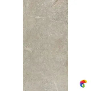 BIOTECH LAPIS GREIGE R10B NAT 6MM 60X120 (778799) 120x60