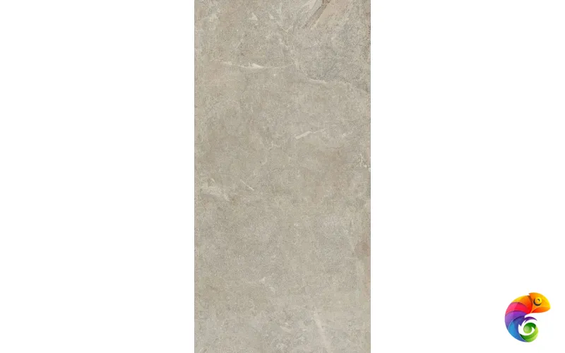 BIOTECH LAPIS GREIGE R10B NAT 6MM 60X120 (778799) 120x60 Неглазурованный керамогранит