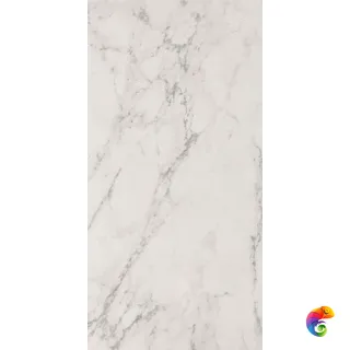 ROMA STONE 60X120 CARRARA DELICATO MATT R9 (fQW8) 120x60