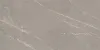 60X120 TIGER MATT GREY RECT POR TILE (P14507.6) 120x60