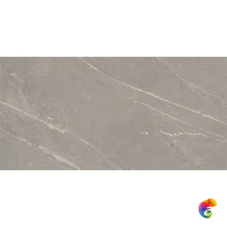 60X120 TIGER MATT GREY RECT POR TILE (P14507.6) 120x60