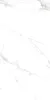 60X120 ROYAL MARBLE WHITE PLSH RCPR(1ST) (P15006.3) 120x60