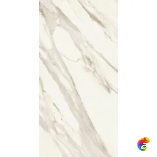 Marvel Meraviglia Calacatta Bernini 60x120 (AJIS) 120x60