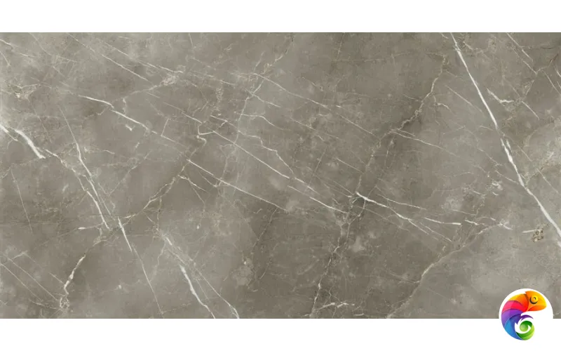 Stellaris Tuscania Grey 80X160 Ret (610010002843) 160x80 Керамогранит