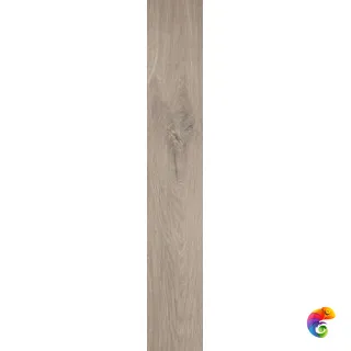 ROOTS 20X120 TAUPE MATT R9 (fPV0) 120x20