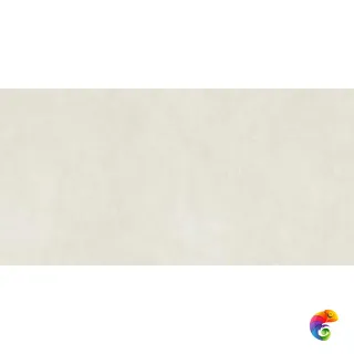 Pav. Cement white 60x120 30