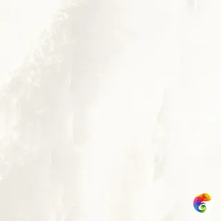 Onix blanco 120х120 NPlus