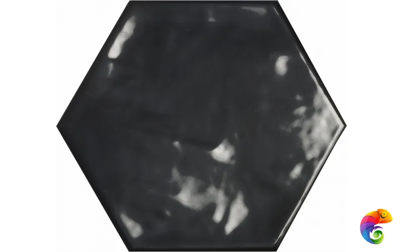EC.B.Chiara negro hex