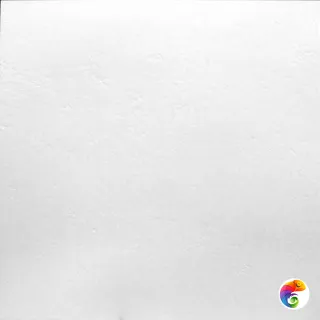 Pav. Riga white 60x60