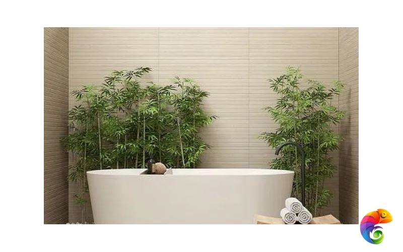 Коллекция CLASH ARGENTA