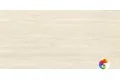 P.E. Fortune ivory mt rect. 60X120