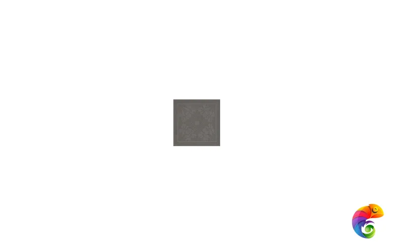 Tac. Zar grey