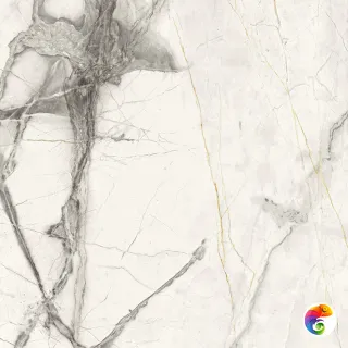 Pav. Invisible nat white 60x60