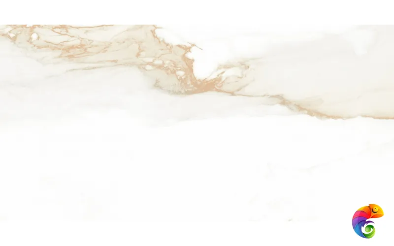 P.E. PUL. Camile gold rect. 60X120