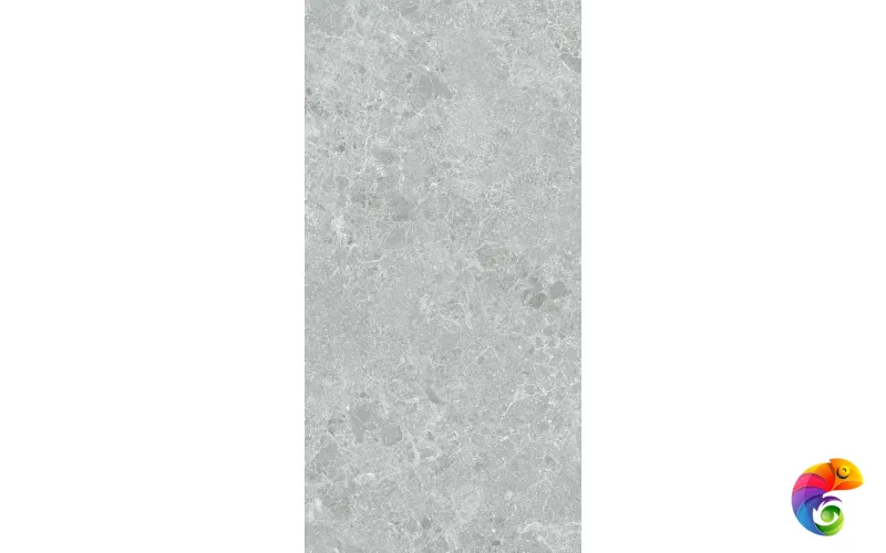 P.E. 3DB CHARISMA GREY MT 60X120 RECT