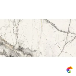 Pav. Invisible nat white 60x120