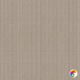 Плитка 42*42 ROMANICO NOCE 63,96 кв.м 1с