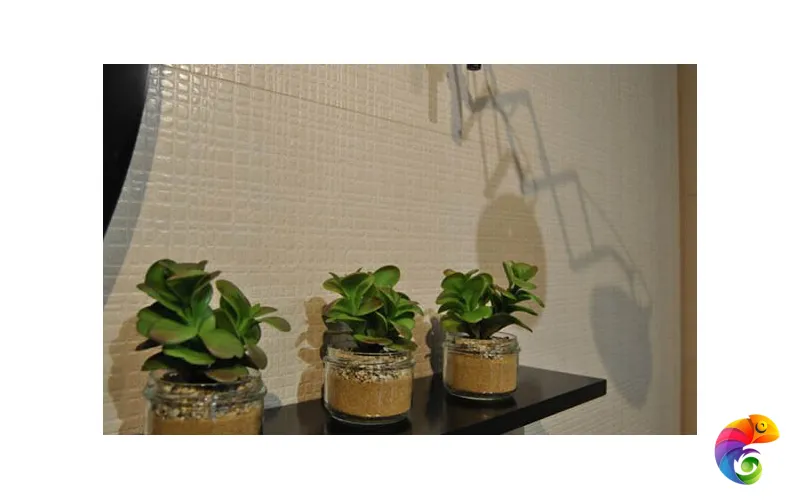 Коллекция SOFT EMIGRES