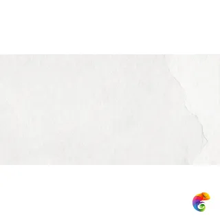 EC.Southrim white 60*120