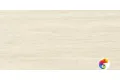 P.E. Fortune ivory mt rect. 60X120