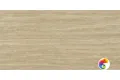 P.E. Fortune natural mt rect. 60X120