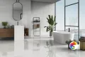P.E. Fortune natural mt rect. 60x60