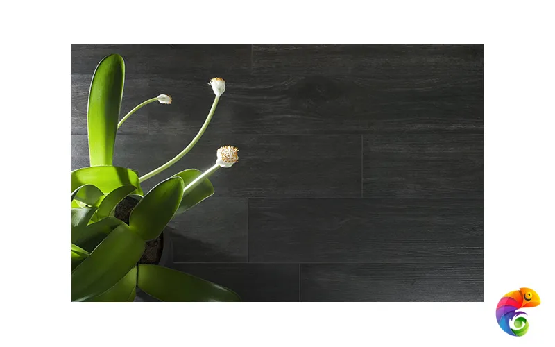 Коллекция HARDWOOD EMIGRES