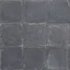 Pav. Scudo azurro
