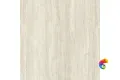 P.E. Fortune ivory mt rect. 60x60