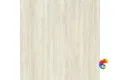 P.E. Fortune ivory mt rect. 60x60